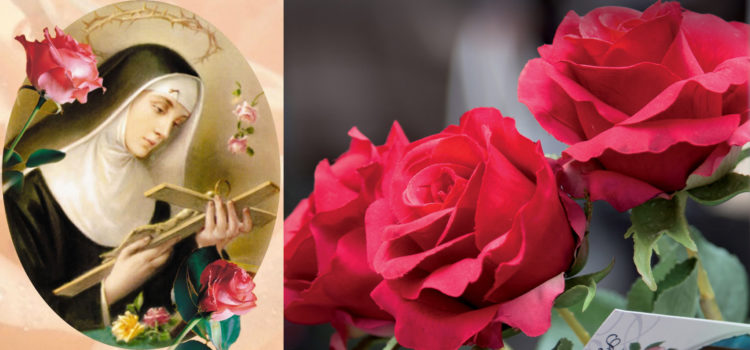 Festa di Santa Rita da Cascia: benedizione delle rose