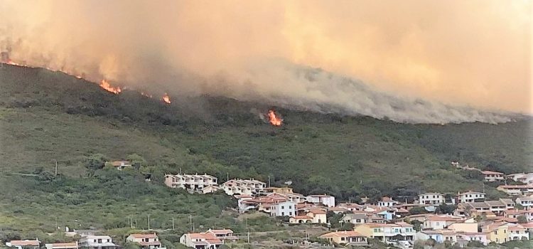 La nostra solidarietà verso le popolazioni colpite dagli incendi